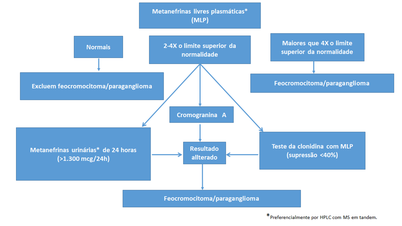 feo c diag.png