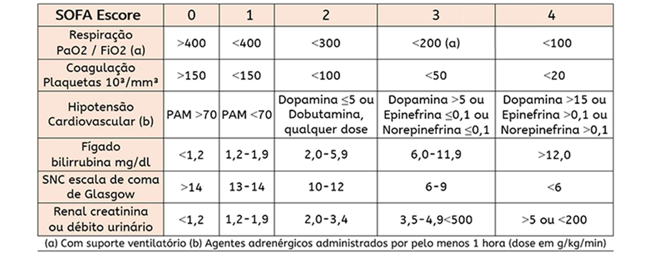 sofa escore2.png