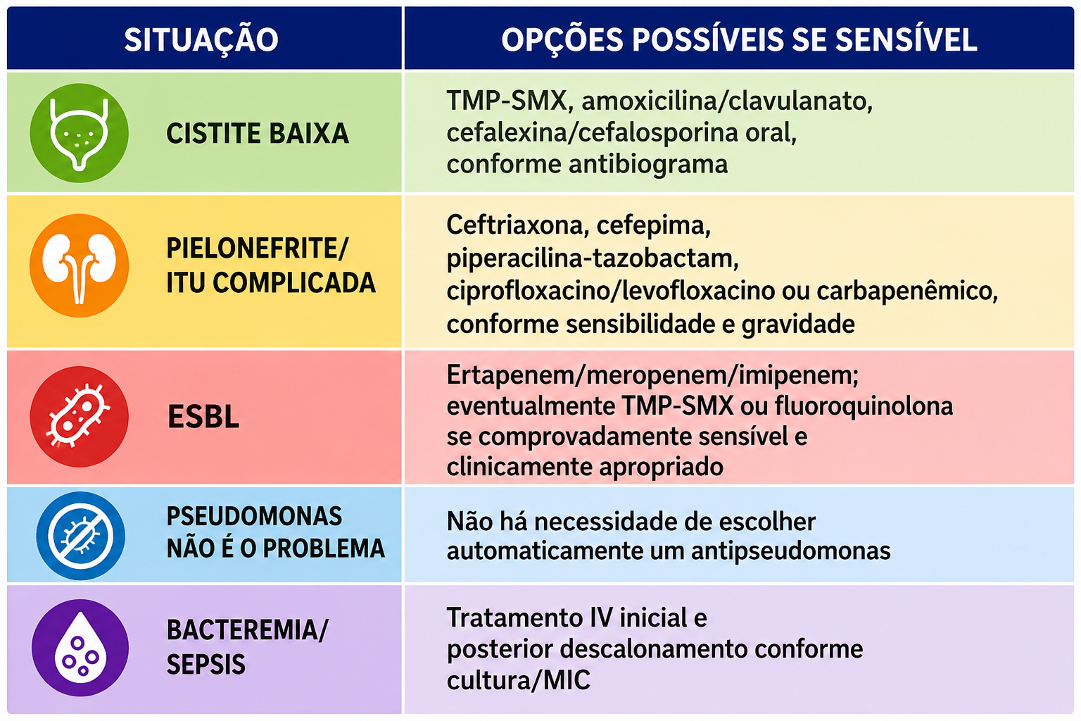 ChatGPT Image 29 de ago. de 2026, 08_40_01.png
