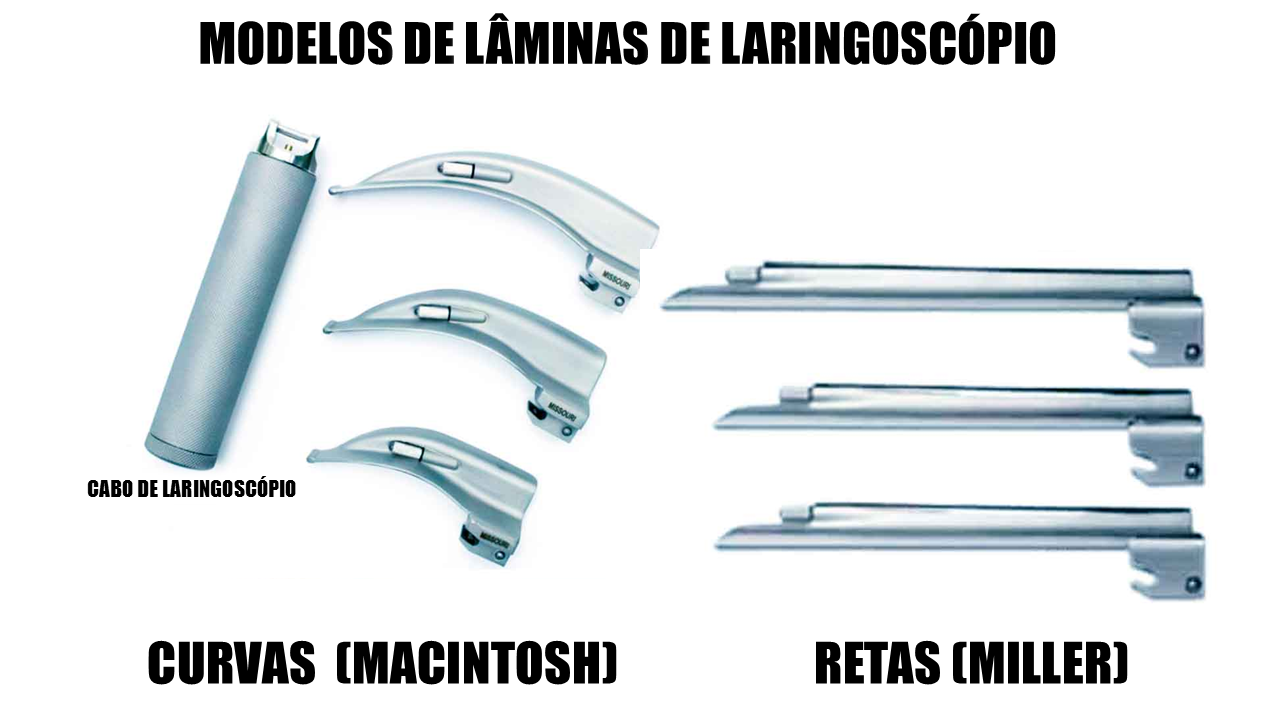 LARING1.png
