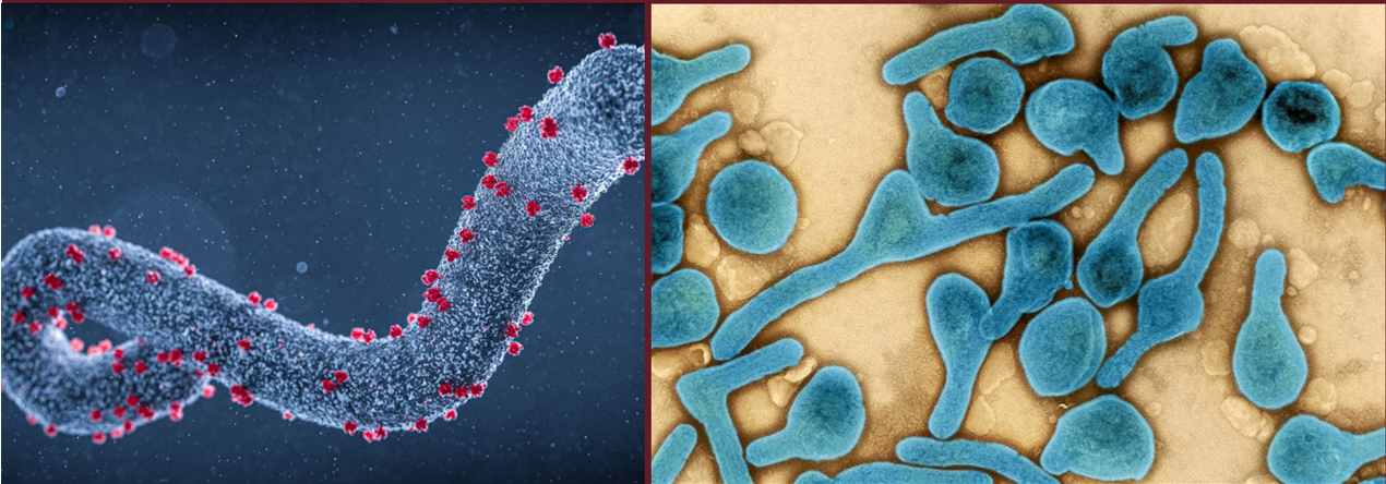 virrs de marburr.png