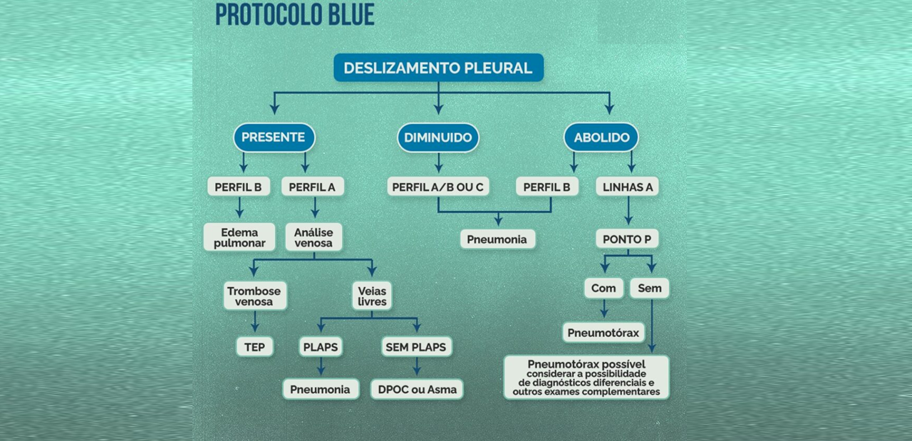 protocolo blue2.png