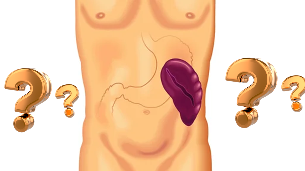 ESPLENOMEGALICA CAUSAS.png