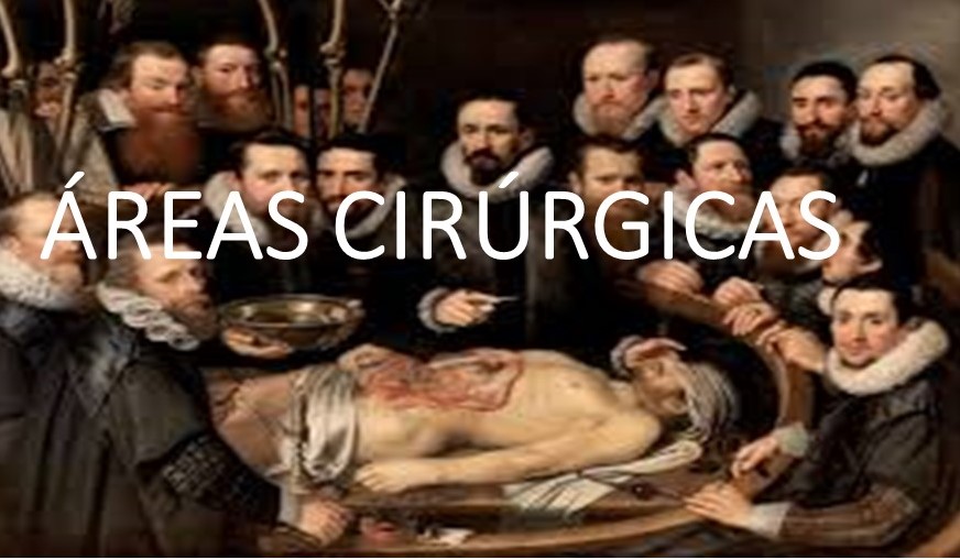 areas cirurgicas.jpg