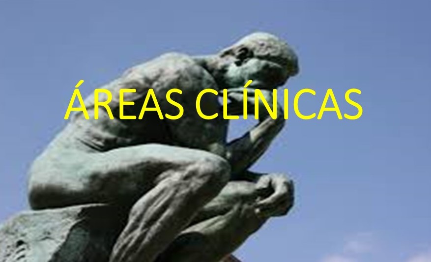 Areas clínicas